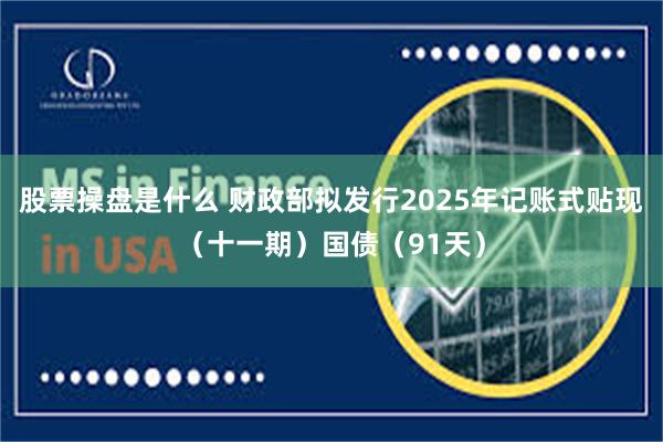 股票操盘是什么 财政部拟发行2025年记账式贴现（十一期）国债（91天）