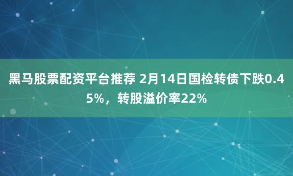 黑马股票配资平台推荐 2月14日国检转债下跌0.45%，转股溢价率22%