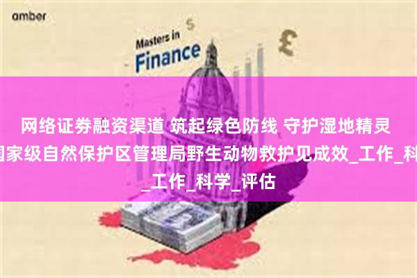 网络证劵融资渠道 筑起绿色防线 守护湿地精灵 呼伦湖国家级自然保护区管理局野生动物救护见成效_工作_科学_评估