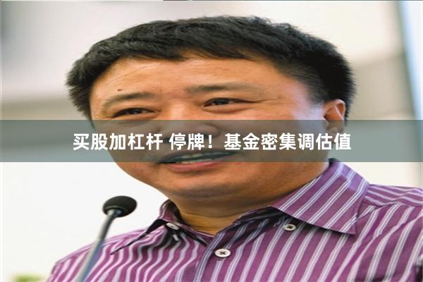 买股加杠杆 停牌！基金密集调估值
